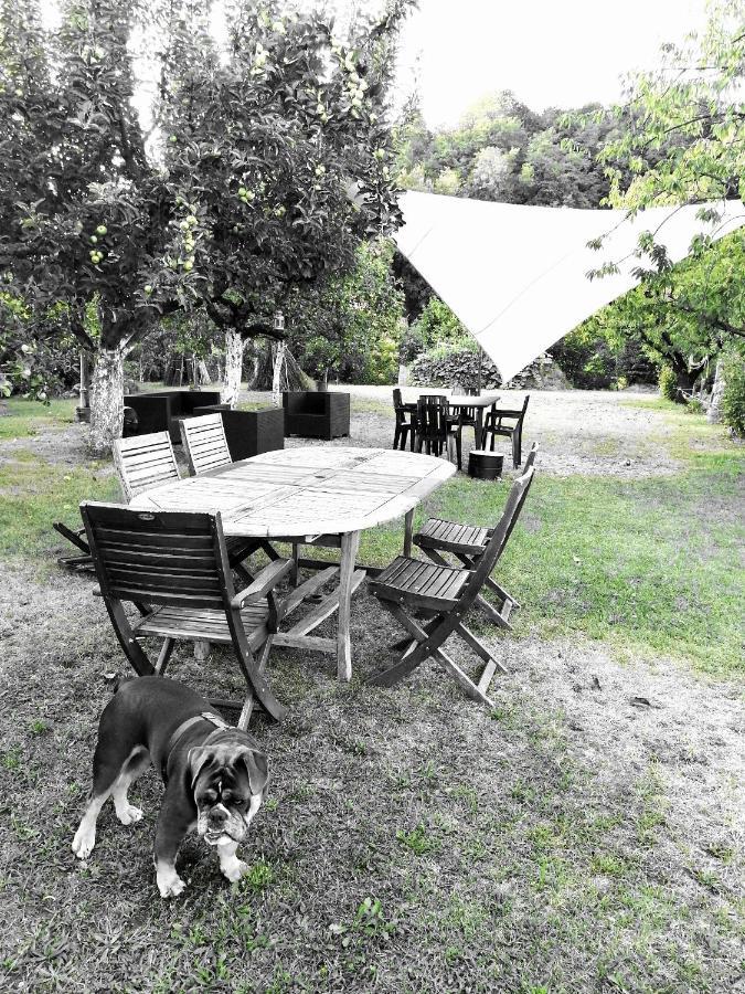 Escapade Champetre Bed & Breakfast Hauteville-sur-Fier ภายนอก รูปภาพ